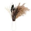 35pcs Reed Dried Flower Set Decoration Christmas Home Living Room