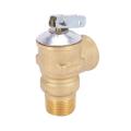 3/4 Inch Npt American Standard Lead-free Water Heater Safety Valve