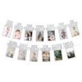 1st Birthday Photo Banner for From Newborn to 12 Months (silver)