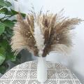 Boho Decor Pampas Grass, 80 Stems Dried Flowers Arrangements