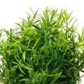 3 Pack Small Potted Artificial Plastic Plants, Mini Fake Rosemary