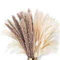 70pcs Natural Dried Pampas Grass, Dried Flowers for Vases,decoration