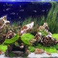 Resin Artificial Mountain Hill View Rock Decorating for Fish Tank