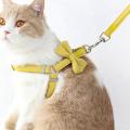 Cat and Dog Collar Small and Medium Pet Collar Traction Rope(blue)