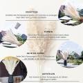 30pcs Pampas Grass Dried Modern Wall Decoration for The Living Room
