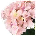 Artificial Flowers Silk 7 Big Head Hydrangea Bouquet Pink