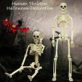 40cm Poseable Full Human Skeleton Prop Halloween Party Decor 1pcs A