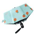 Small Mini Umbrella for Travel Portable Outdoor Sunscreen Rainproof F