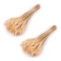 50 Pcs Wheat Ear Flower Natural Dried Flowers for Wedding Party Decor