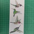 8 Large Beautiful Humming Bird Static Cling Window Stickers
