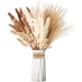 Dried Flowers Pampas Grass Decoration Bouquet for Table Home Decor