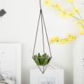 1 Pack Hanging Air Plant Holder for Tillandsia with Chains Bronze