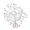 For Peugeot 308 Rcz Citroen C4 C5 Ds5 Gearbox Oil Drain Screw 221347