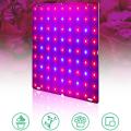 Led Grow Lights with Red Blue Spectrum Hydroponic Seeding Us Plug