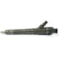 Common Rail Fuel Injector 0 445 110 273 0986435165 for Iveco Engine