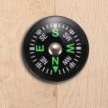 Oil Filled Button Compass - Mini Sas Survival Bushcraft