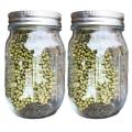 Sprouting Jar with Screen Lid Wide Mouth Quart Mason Sprouter
