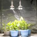 E27 Plant Lamp Light Bulb 35w Led Plant Grow Light