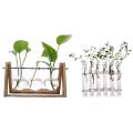 6 Glass Tubes Shape Hanging Hydroponic Flower Plant Vase