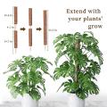 Moss Pole for Climbing Plant 4 Pack 15.7 Inch Coir Pole for Plants