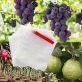 100pcs Fruit Protection Bag, Non-woven Net Barrier Bag 20x25cm
