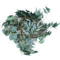 6.5-foot Eucalyptus Garland and 6-foot Willow Branches Leaf Green