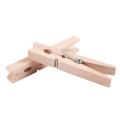 Wooden Clothes Pins Pegs Hanging Clips 24 Pcs