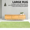 Fluffy Rugs for Bedroom,with Backing Non-slip Points(3x5 Feet,green)