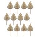 12pcs Dried Palm Leaves Dried Palm Fans Bohemian Tropical Palm Leaves