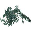 2x 6.5-foot Eucalyptus Garland and 6-foot Willow Branches Leaf Green