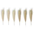 Faux Pampas Grass, Set Of 6 Stems 17inch Short Fake Flowers, Small