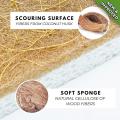 12pcs Eco Friendly Scrub Sponges for Kitchen - Non Scratch Odor Free