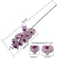 2pcs Real Press Orchid Stems Flowers Artificial Phalaenopsis