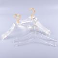 5 Pcs Clear Acrylic Clothes Hanger with Gold Hook,s