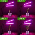 2-pack Led Grow Lights for Indoor Plants,with Gooseneck for Seedlings