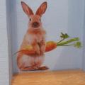 Rabbit Carrot Wall Living Room Background Decoration Kids Stickers