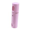 Facial Steamer Nano Steamer Mini Usb Charging Facial Spa(pink)