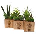 Set Of 3 Artificial Succulents with Led Lights for Home/office Decor