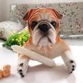 Dog Toilet Hygiene Resin Tray Free Punch Household Paper Towel Holder