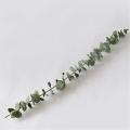 20pcs Natural Eucalyptus for Leaves Dried Flower Decorations Diy