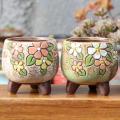 Horticultural Hand-painted Fleshy Plant Pot Simple Small Pot 3