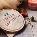 14 Pieces 6 Inch Embroidery Hoops Bulk Cross Stitch for Embroidery