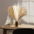 Dried Pampas Grass Plants for Decor, 60 Pcs Dry Small Reeds Bouquet