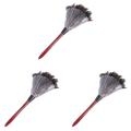 Ostrich Cleaning Feather Duster Fan Blades Of Various Photo Color