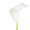 Calla Lily Bridal Wedding Bouquet 10 Head Latex Real Touch Kc51 White