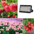 50w Led Grow Light Full Spectrum Lamp for Plants Led Lamps Uk Plug-d