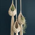 Tillandsia Hanging Basket Rope Holder Flower Home Decor (10cm)