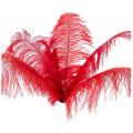 10 Pcs Ostrich Feathers Wedding Party Decoration Red 20-25cm