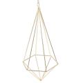3x Hanging Air Plant Holder with Chain Tillandsia Container Gold