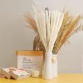 Pack Of 60 Pampas Grass 55 Cm for Interior Decorations Wedding Props